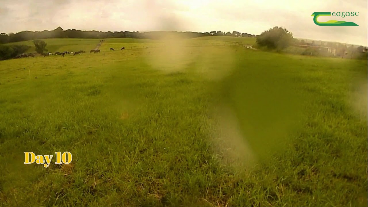 Grass growth like you’ve never seen before!