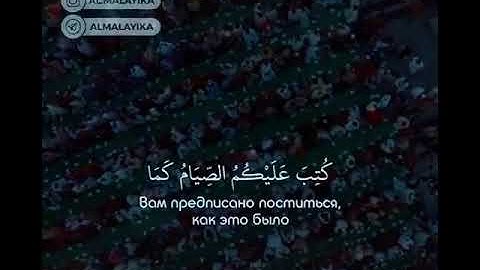 سورة البقرة أية رقم 183 القارئ الشيخ محمد اللحيدان