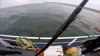 whitby uptiding festival for Cod 17th November 2018