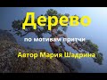 ДЕРЕВО. Автор Мария Шадрина. Философское стихотворение по мотивам притчи #дерево #МарияШадринаСтихи