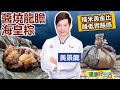 黃景龍：教你如何挑選合適「粽葉」！滿滿「膠質」的彈牙好魚「龍膽石斑魚」 也可以入粽？糯米「黃金比例」來包粽！吃進營養無負擔：醬燒龍膽海皇粽【健康好生活】