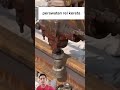 How to maintain railroad tracks #viral #automobile #trending #tutorial #reaction #short