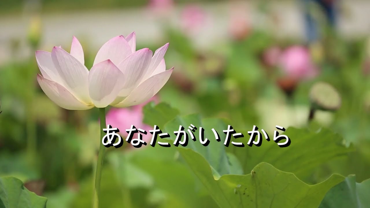 あなたがいたから - YouTube
