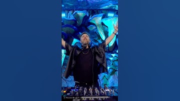 No vibes were killed in the making of this video 😎#davidguetta #tomorrowland #electronicmusic