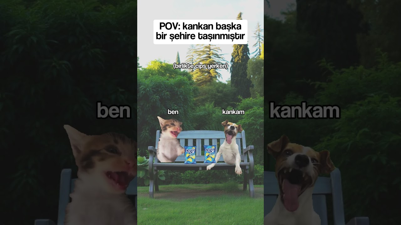 Kankan Başka Bir Şehre Taşınmıştır