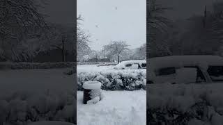 Sheboygan wisconsin snow fall today 🥶