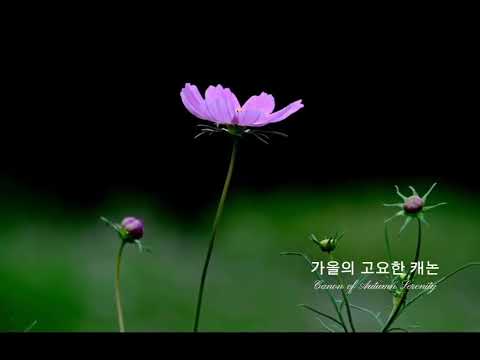 [ 힐링음악 ] 가을의 고요한 캐논 (<strong>Canon</strong> <strong>of</strong> Autumn Serenity)