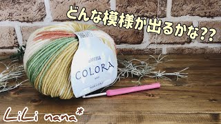 【段染め毛糸】コロラで柄を生かしたバッグを作りたい♪かぎ針編み