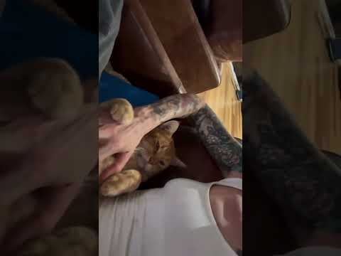 Ruby Rose (@rubyrose) archived Instagram Stories compilation from April 27, 2026