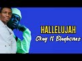 Ckay ft Blaqbonez Hallelujah [Lyrics video]