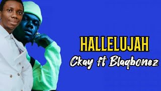 Ckay ft Blaqbonez Hallelujah [Lyrics video]