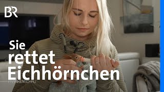 Päppeln, pflegen, putzen: Im Einsatz für Eichhörnchen-Babys | Frankenschau | BR