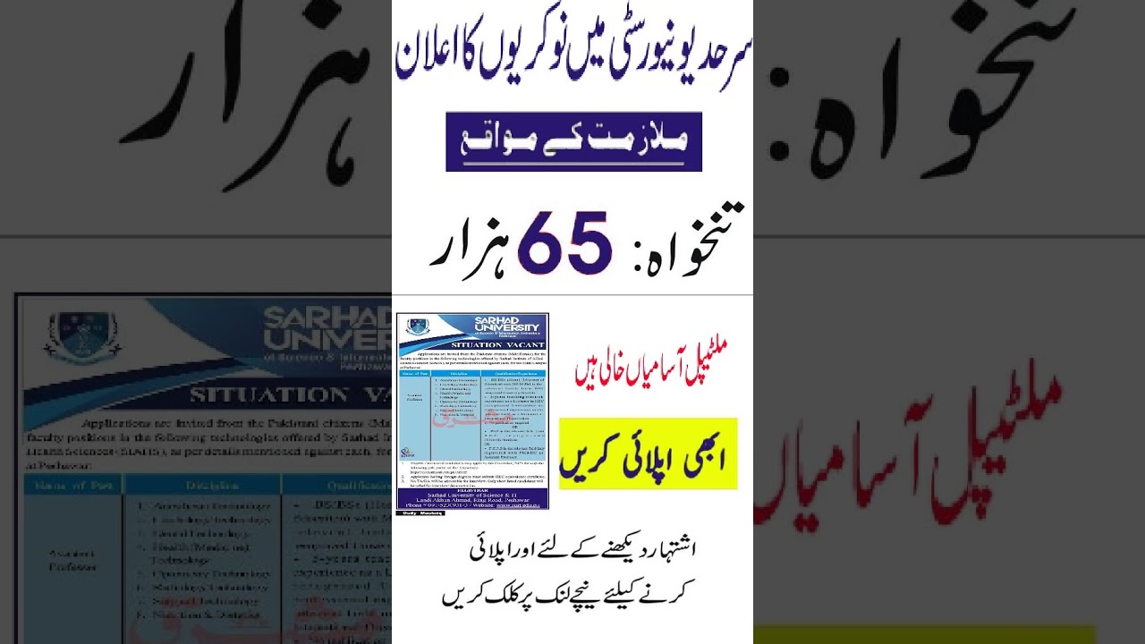 Sarhad University of Science and Information Technology Jobs 2023 | New Government Jobs 2023