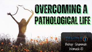 How To Stop Destructive Behaviors: Spiritual Lessons From Bishop Womack-El