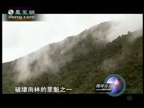 地球宣言2010-06-22 采矿淘金破坏地球雨林资源