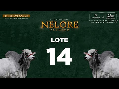 LOTE 14   MNS 13232