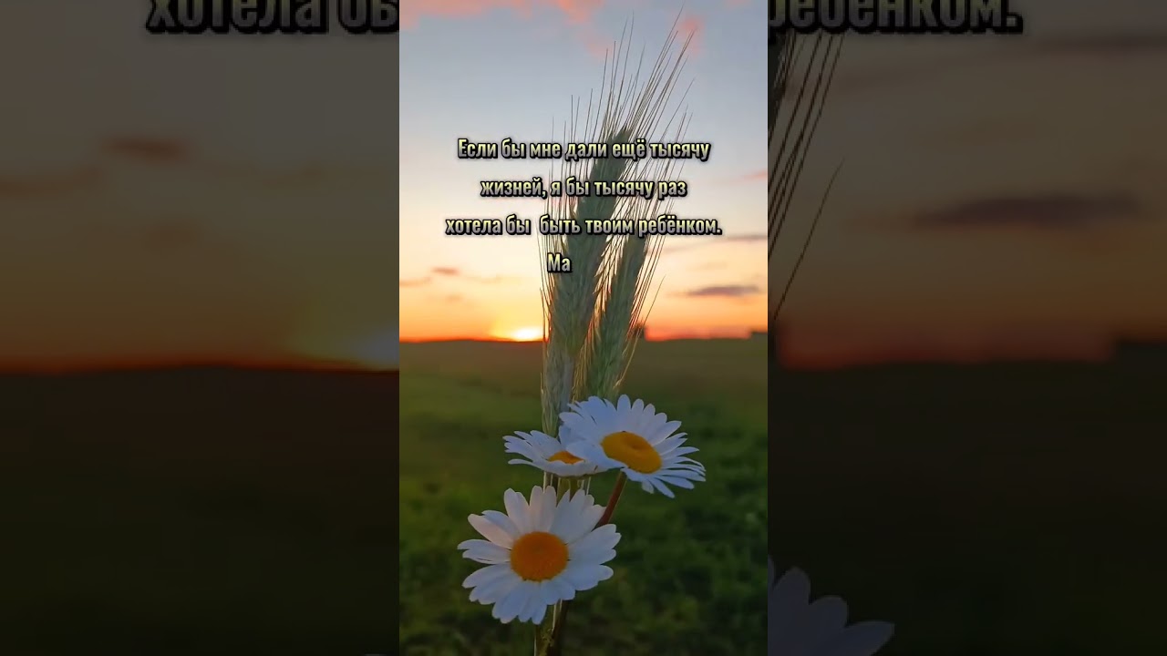 #мамеслюбовью