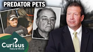 The Zanesville Animal MASSACRE | Predator Pets | Curious?: Natural World