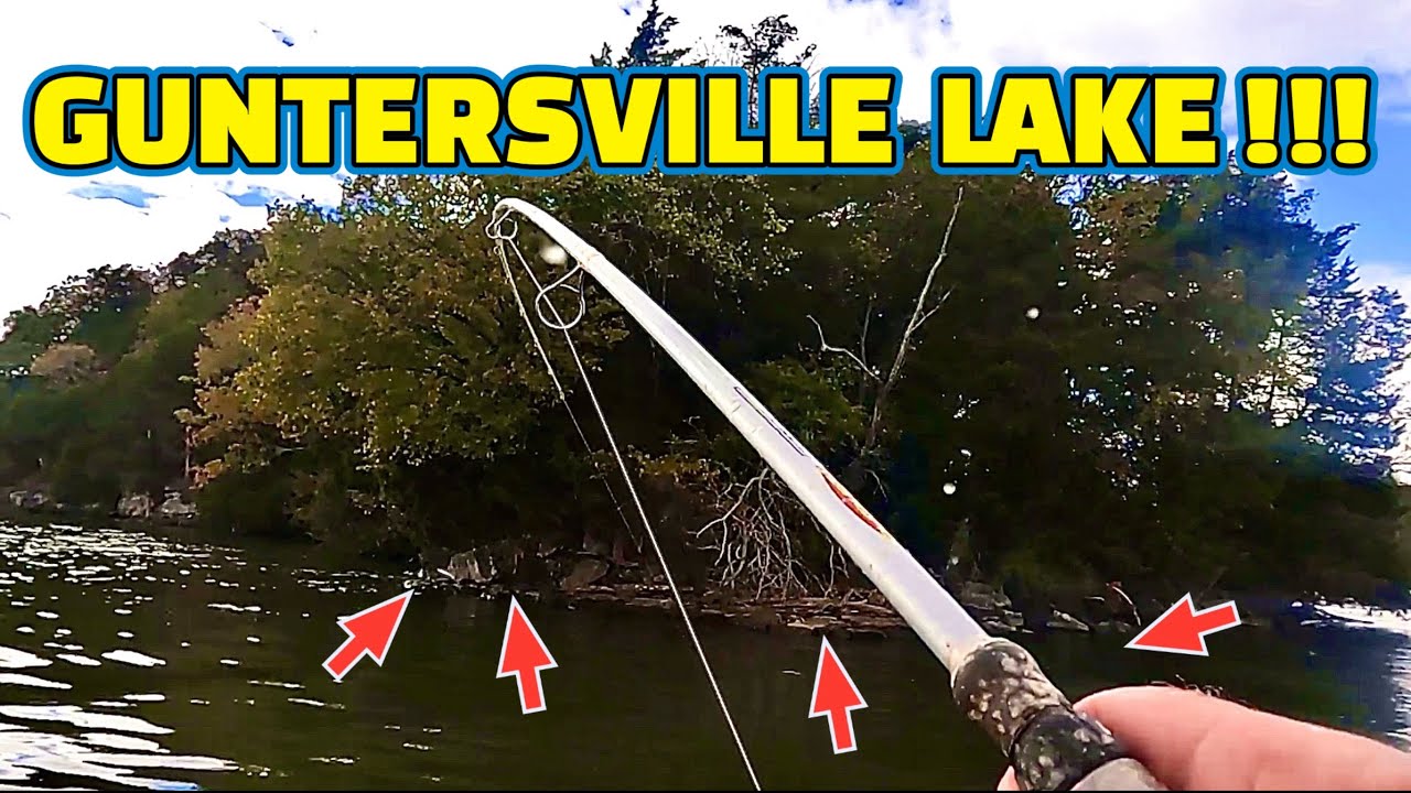 ABSOLUTELY the BEST FISHING BAIT to CATCH FISH !!!