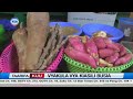 Busia yazindua soko la vyakula vya kiasili vinavyokuzwa bila kemikali