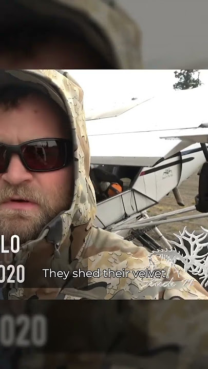 Adam Bought A Super Cub To Moose Hunt #stuckntherut East Meets West Hunt podcast Ep. 293