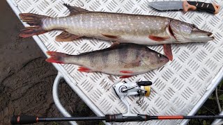 Рыбалка в дельте Северной Двины.