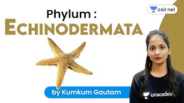 CSIR NET | Life Science by Kumkum Gautam | Phylum: Echinodermata