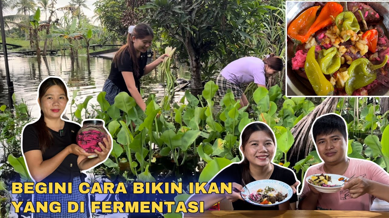 YUK LIHAT PROSES BIKIN IKAN FERMENTASI,DAN PANEN SAYUR GENJER BERSAMA JUNFONG