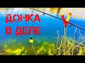 🎣КАРАСЬ на ДОНКУ в заливе Днепра (Осетровка) I Донка в деле