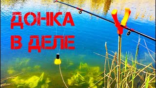 🎣КАРАСЬ на ДОНКУ в заливе Днепра (Осетровка) I Донка в деле