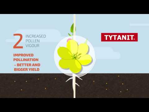 TYTANIT EN