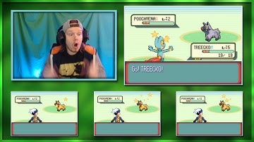 Live! Shiny Treecko After 3 Uncatchable Shiny Poochyena And 12511 SRs!
