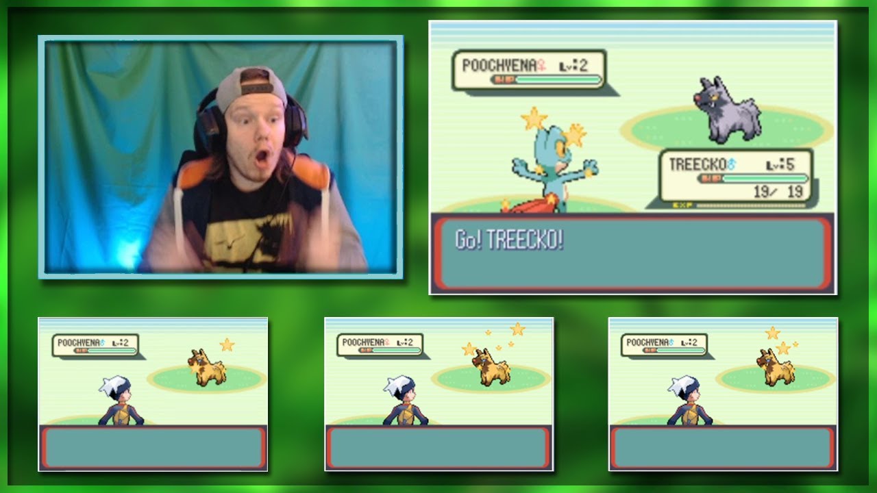 Live! Shiny Treecko After 3 Uncatchable Shiny Poochyena And 12511 SRs!