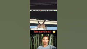 A giraffe is jumping down from large rock