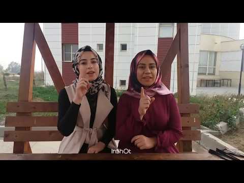 Deniz Toprak & Resul Dindar - Sebebi Sensin (işaret dili )