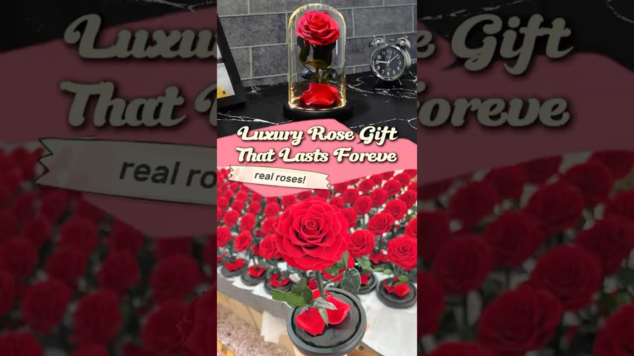 Luxury Rose in Glass Dome 🌹