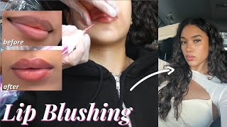 Lip Blushing Tatoo Full Process, Healed Results Everything You Need To Know