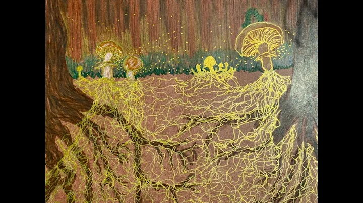Jemma Rowan Deer, "Mycorrhizal Metaphors: The Buri...