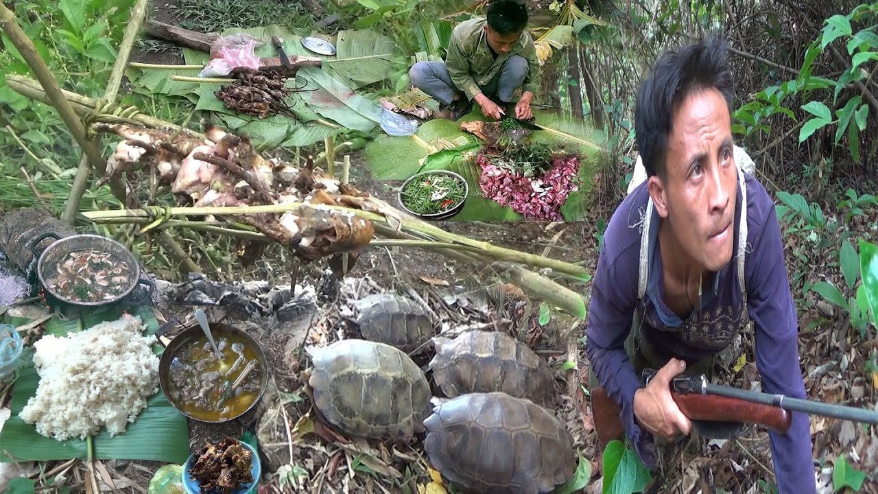 Hunting and Cooking pigeons and Turtle In The Jungle/Yos hav zoov nyob sab tsua liab YouTube