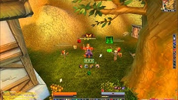 WoW 4.2 Feral Druid Tanking UI