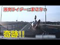 追突ライダーに起きた奇跡