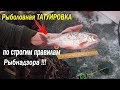 Рыбалка Зимой\ Трофей\ Рыболовное тату