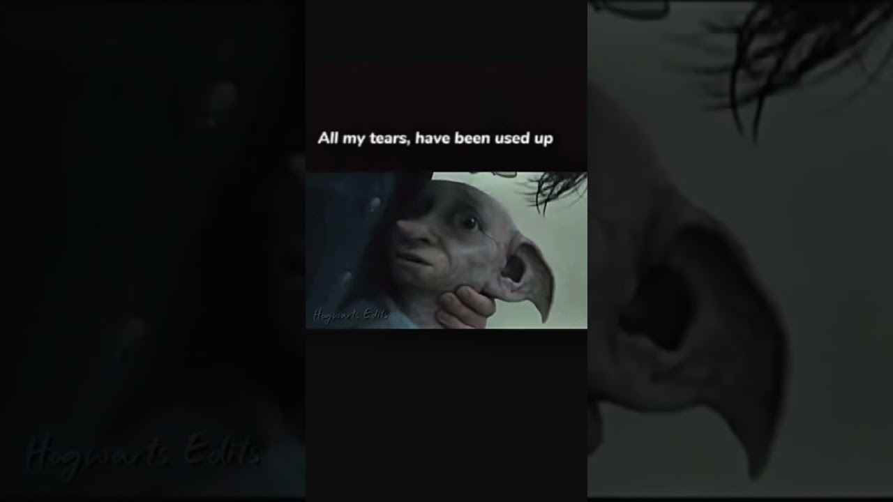 On another love #viraledit #harrypotter #potterhead #sadedits #edit #hogwarts #fypシ゚viral  #fypシ #fy