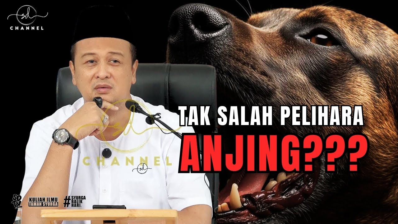 SYAMSUL DEBAT | TAK SALAH PELIHARA ANJING???