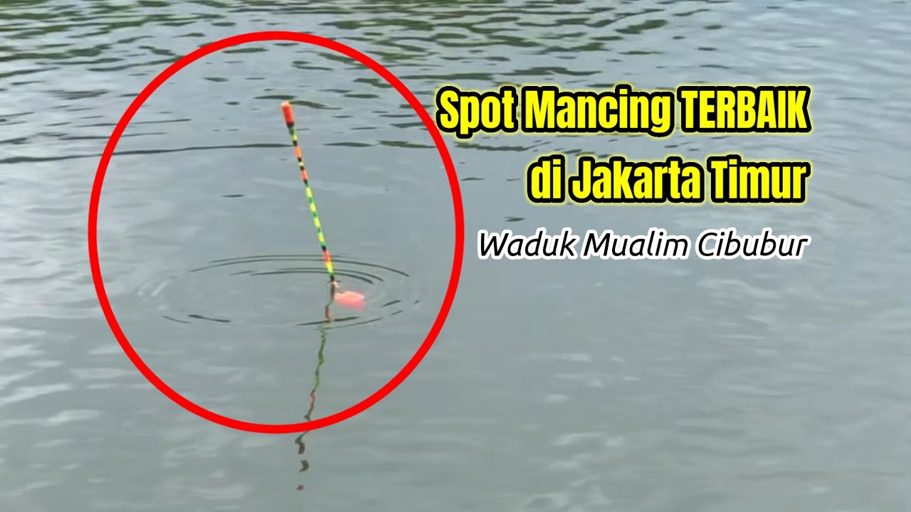SPOT MANCING TERBAIK super GACOR DI JAKARTA TIMUR, Waduk Mualim Cibubur