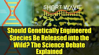 Should Genetically Engineered Species Be Released into the Wild? The Science Debate Explained