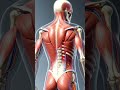 CORE (PLANCHAS)