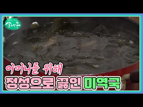 어머니를 위해 정성으로 끓인 미역국 MBN 250210 방송