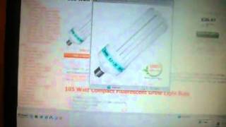 cfls