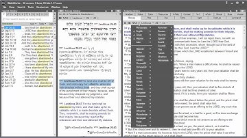 Identification and Overview of the Main Functions of the BibleWorks 10 Windows and Tabs
